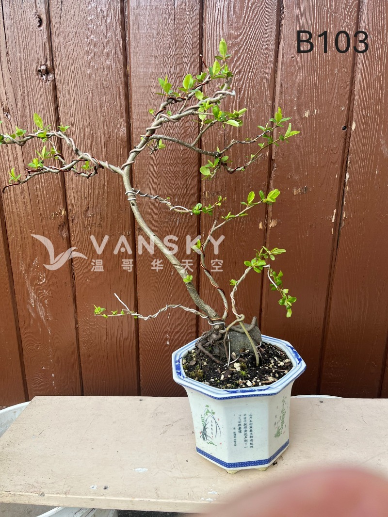 250920100846_B103 15 - 25-04.JPG